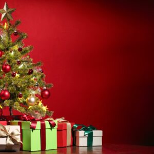 Scouts - Christmas Camp 2022