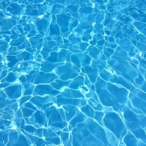 Scouts - Just Keep Swimming 2022